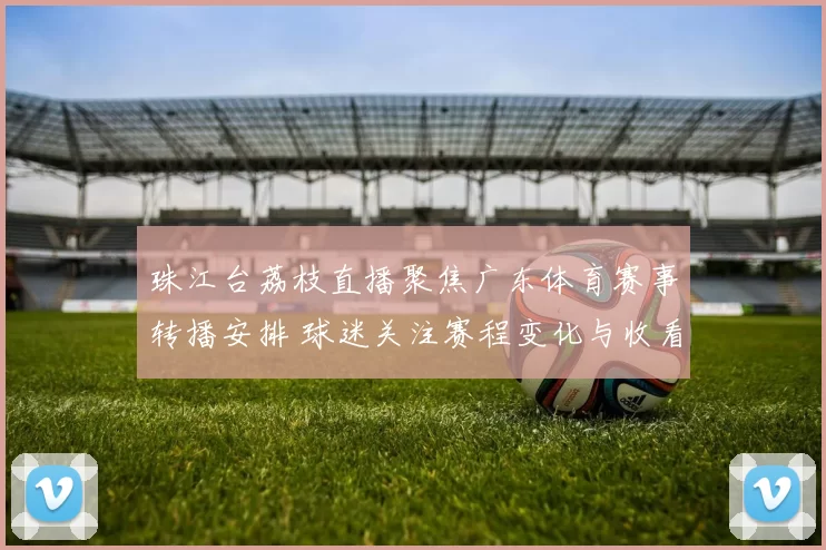 珠江台荔枝直播聚焦广东体育赛事转播安排 球迷关注赛程变化与收看渠道