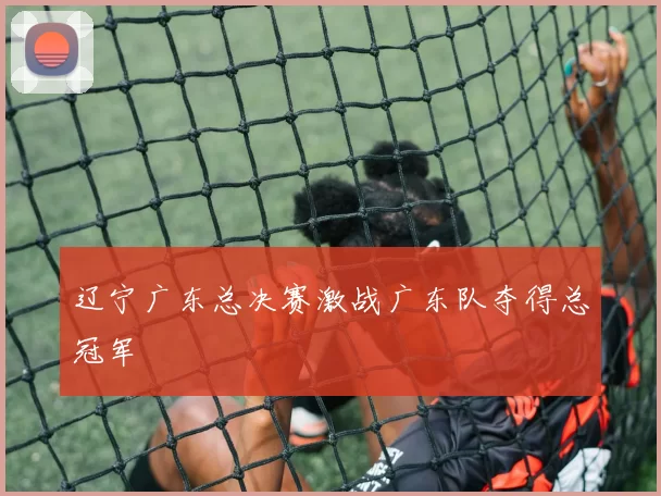 辽宁广东总决赛激战广东队夺得总冠军