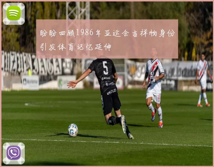 盼盼回顾1986年亚运会吉祥物身份引发体育记忆延伸