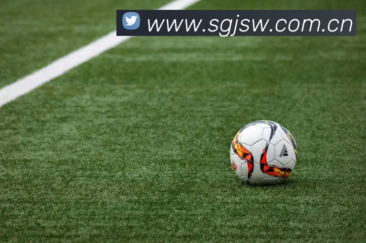 bat365(中国)在线平台官方网站 - 登录入口平台生态图